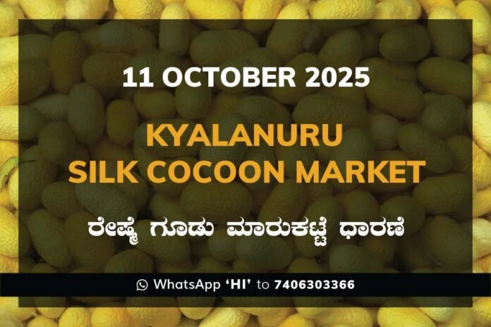 183 Kyalanur Government Silk Cocoon Market Daily Rate Report ಕ್ಯಾಲನೂರು ರೇಷ್ಮೆ ಗೂಡು ಮಾರುಕಟ್ಟೆ ಧಾರಣೆ