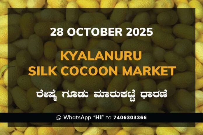 183 Kyalanur Government Silk Cocoon Market Daily Rate Report ಕ್ಯಾಲನೂರು ರೇಷ್ಮೆ ಗೂಡು ಮಾರುಕಟ್ಟೆ ಧಾರಣೆ