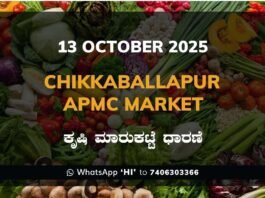 Chikkaballapur APMC Market: 13 October 2025