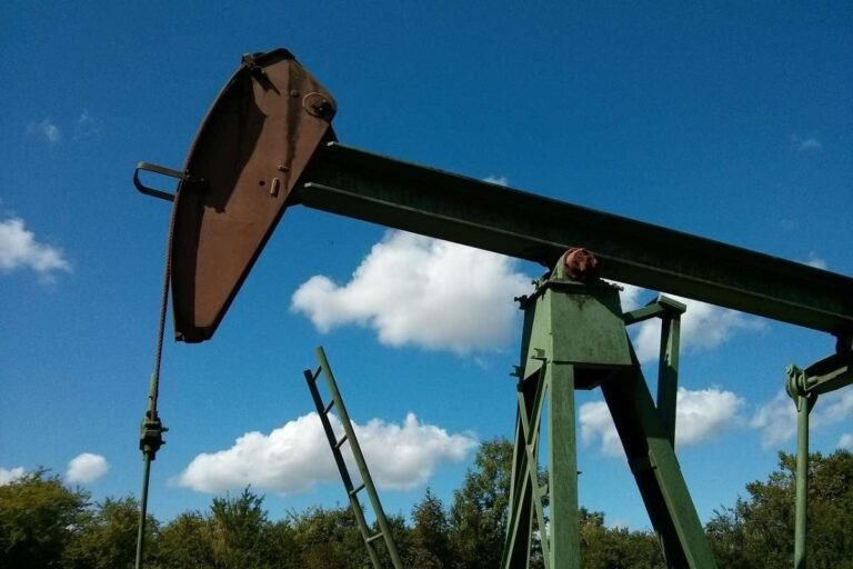 India Oil Import from USA Increases