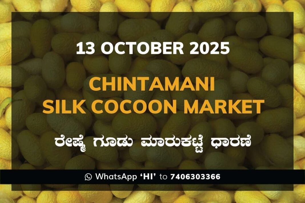 Chintamani Government Silk Cocoon Market Daily Rate Report ಚಿಂತಾಮಣಿ ರೇಷ್ಮೆ ಗೂಡು ಮಾರುಕಟ್ಟೆ ಧಾರಣೆ