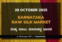 Karnataka Raw Silk Exchange Price: 28 October 2025 Karnataka Raw Silk Exchange Price