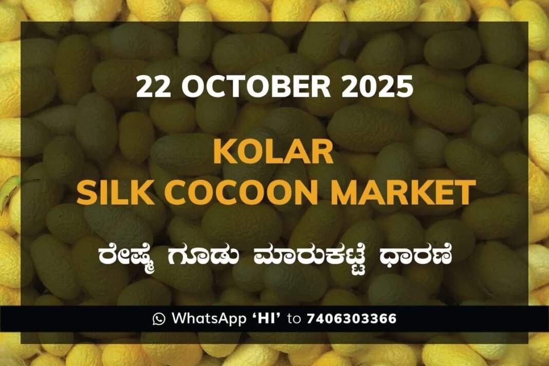 Kolar Silk Cocoon Market Price Rate ಕೋಲಾರ ರೇಷ್ಮೆ ಗೂಡು ಮಾರುಕಟ್ಟೆ ಧಾರಣೆ