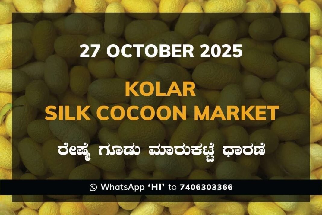 Kolar Silk Cocoon Market Price Rate ಕೋಲಾರ ರೇಷ್ಮೆ ಗೂಡು ಮಾರುಕಟ್ಟೆ ಧಾರಣೆ