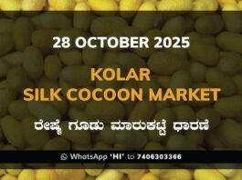 Kolar Silk Cocoon Market Price Rate ಕೋಲಾರ ರೇಷ್ಮೆ ಗೂಡು ಮಾರುಕಟ್ಟೆ ಧಾರಣೆ