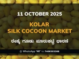 Kolar Silk Cocoon Market Price Rate ಕೋಲಾರ ರೇಷ್ಮೆ ಗೂಡು ಮಾರುಕಟ್ಟೆ ಧಾರಣೆ