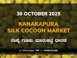 Kanakapura Silk Cocoon Market ಕನಕಪುರ ರೇಷ್ಮೆ ಗೂಡು ಮಾರುಕಟ್ಟೆ ಧಾರಣೆ
