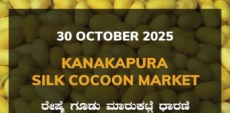 Kanakapura Silk Cocoon Market: 30 October 2025 Kanakapura Silk Cocoon Market ಕನಕಪುರ ರೇಷ್ಮೆ ಗೂಡು ಮಾರುಕಟ್ಟೆ ಧಾರಣೆ