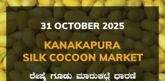 Kanakapura Silk Cocoon Market: 31 October 2025 Kanakapura Silk Cocoon Market ಕನಕಪುರ ರೇಷ್ಮೆ ಗೂಡು ಮಾರುಕಟ್ಟೆ ಧಾರಣೆ