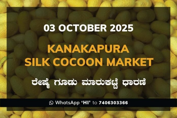 43 Kanakapura Silk Cocoon Market ಕನಕಪುರ ರೇಷ್ಮೆ ಗೂಡು ಮಾರುಕಟ್ಟೆ ಧಾರಣೆ