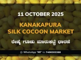 Kanakapura Silk Cocoon Market ಕನಕಪುರ ರೇಷ್ಮೆ ಗೂಡು ಮಾರುಕಟ್ಟೆ ಧಾರಣೆ