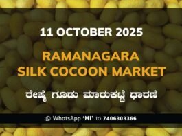 Ramanagara Silk Cocoon Market ರಾಮನಗರ ರೇಷ್ಮೆ ಗೂಡು ಮಾರುಕಟ್ಟೆ ಧಾರಣೆ