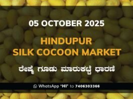 Hindupur Government Silk Cocoon Market Daily Rate Report ಹಿಂದೂಪುರ ರೇಷ್ಮೆ ಗೂಡು ಮಾರುಕಟ್ಟೆ ಧಾರಣೆ