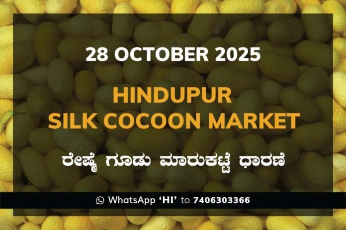 71 Hindupur Government Silk Cocoon Market Daily Rate Report ಹಿಂದೂಪುರ ರೇಷ್ಮೆ ಗೂಡು ಮಾರುಕಟ್ಟೆ ಧಾರಣೆ