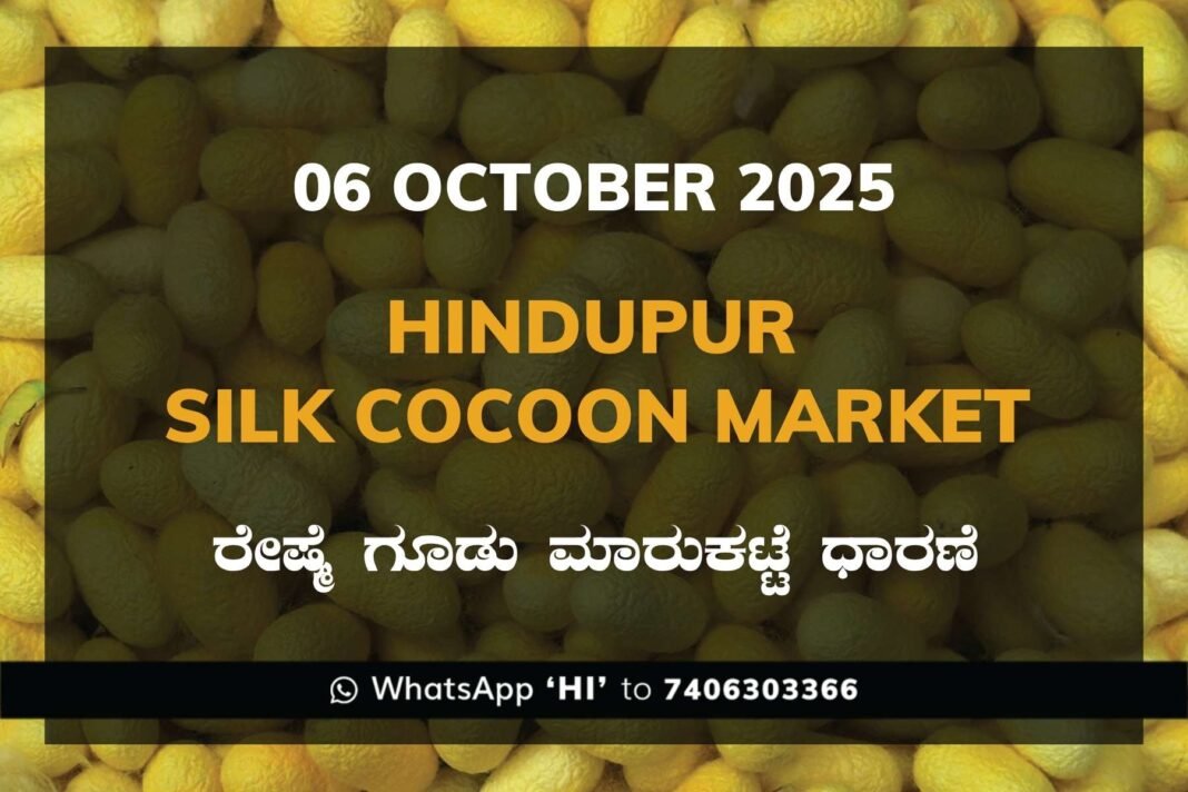 Hindupur Government Silk Cocoon Market Daily Rate Report ಹಿಂದೂಪುರ ರೇಷ್ಮೆ ಗೂಡು ಮಾರುಕಟ್ಟೆ ಧಾರಣೆ