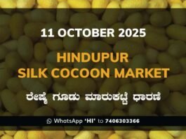 Hindupur Government Silk Cocoon Market Daily Rate Report ಹಿಂದೂಪುರ ರೇಷ್ಮೆ ಗೂಡು ಮಾರುಕಟ್ಟೆ ಧಾರಣೆ