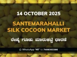 Santemarahalli Silk Cocoon Market