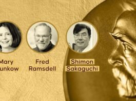 Nobel Prize in Medicine for Three: Research on Immune Tolerance Awarded