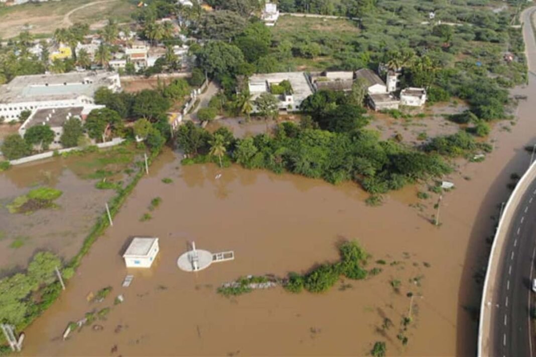 North Karnataka Floods, Crop Damage
