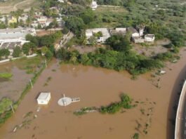 North Karnataka Floods, Crop Damage