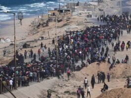 Palestinians return to Gaza to find homes