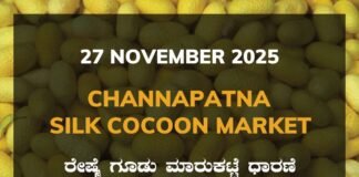 Channapatna Silk Cocoon Market: 27 November 2025 Channapatna Silk Cocoon Market Price Rate ಚನ್ನಪಟ್ಟಣ ರೇಷ್ಮೆ ಗೂಡು ಮಾರುಕಟ್ಟೆ ಧಾರಣೆ