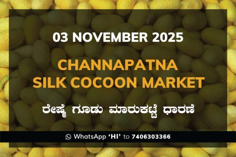 Channapatna Silk Cocoon Market Price Rate ಚನ್ನಪಟ್ಟಣ ರೇಷ್ಮೆ ಗೂಡು ಮಾರುಕಟ್ಟೆ ಧಾರಣೆ