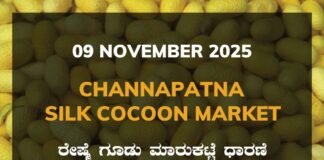 Channapatna Silk Cocoon Market: 09 November 2025 Channapatna Silk Cocoon Market Price Rate ಚನ್ನಪಟ್ಟಣ ರೇಷ್ಮೆ ಗೂಡು ಮಾರುಕಟ್ಟೆ ಧಾರಣೆ