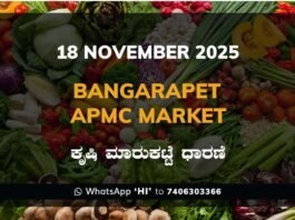 Bangarapet APMC Market: 18 November 2025