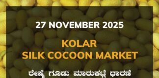 Kolar Silk Cocoon Market: 27 November 2025 Kolar Silk Cocoon Market Price Rate ಕೋಲಾರ ರೇಷ್ಮೆ ಗೂಡು ಮಾರುಕಟ್ಟೆ ಧಾರಣೆ