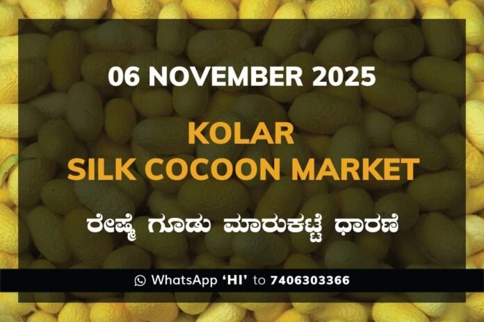 Kolar Silk Cocoon Market Price Rate ಕೋಲಾರ ರೇಷ್ಮೆ ಗೂಡು ಮಾರುಕಟ್ಟೆ ಧಾರಣೆ