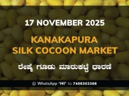 Kanakapura Silk Cocoon Market ಕನಕಪುರ ರೇಷ್ಮೆ ಗೂಡು ಮಾರುಕಟ್ಟೆ ಧಾರಣೆ