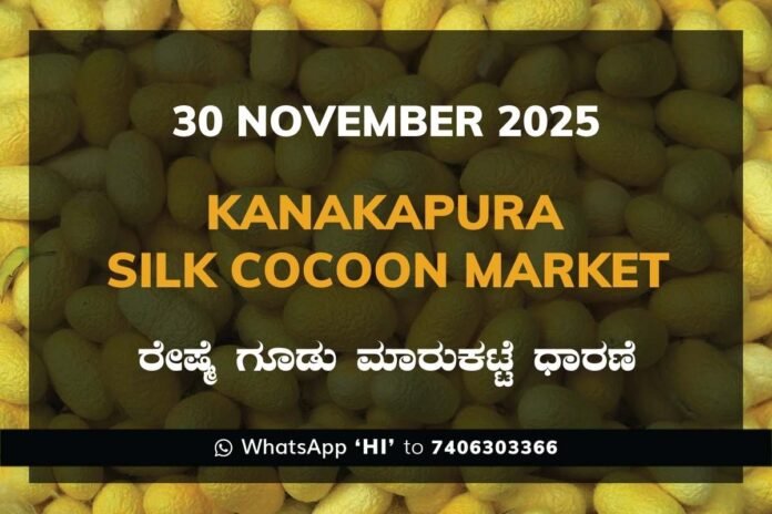 Kanakapura Silk Cocoon Market ಕನಕಪುರ ರೇಷ್ಮೆ ಗೂಡು ಮಾರುಕಟ್ಟೆ ಧಾರಣೆ