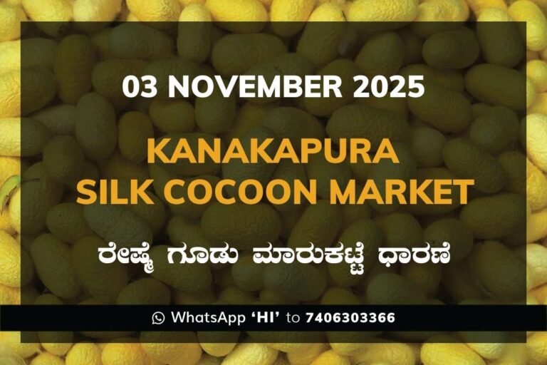 Kanakapura Silk Cocoon Market ಕನಕಪುರ ರೇಷ್ಮೆ ಗೂಡು ಮಾರುಕಟ್ಟೆ ಧಾರಣೆ