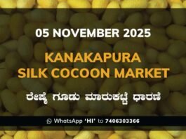 Kanakapura Silk Cocoon Market ಕನಕಪುರ ರೇಷ್ಮೆ ಗೂಡು ಮಾರುಕಟ್ಟೆ ಧಾರಣೆ