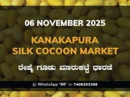 Kanakapura Silk Cocoon Market ಕನಕಪುರ ರೇಷ್ಮೆ ಗೂಡು ಮಾರುಕಟ್ಟೆ ಧಾರಣೆ