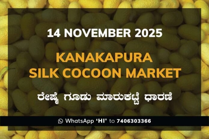 43 Kanakapura Silk Cocoon Market ಕನಕಪುರ ರೇಷ್ಮೆ ಗೂಡು ಮಾರುಕಟ್ಟೆ ಧಾರಣೆ