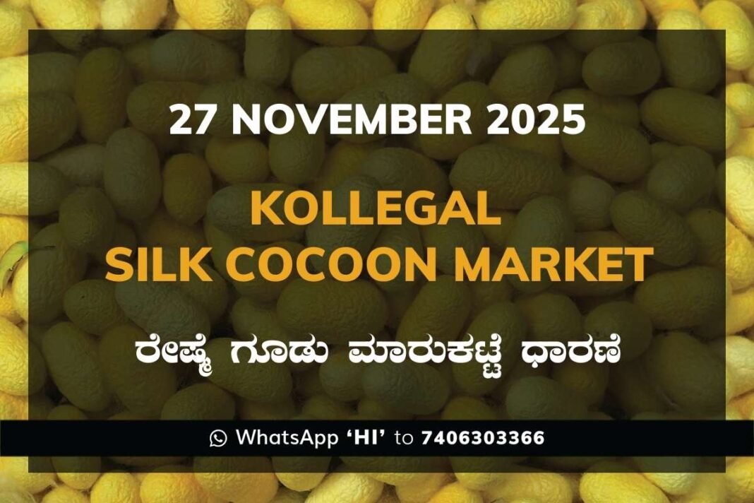 Kollegal Silk Cocoon Market Price Rate ಕೊಳ್ಳೇಗಾಲ ರೇಷ್ಮೆ ಗೂಡು ಮಾರುಕಟ್ಟೆ ಧಾರಣೆ