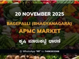 Bagepalli (Bhagyanagara) APMC Market: 20 November 2025
