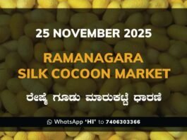 Ramanagara Silk Cocoon Market ರಾಮನಗರ ರೇಷ್ಮೆ ಗೂಡು ಮಾರುಕಟ್ಟೆ ಧಾರಣೆ
