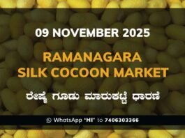 Ramanagara Silk Cocoon Market ರಾಮನಗರ ರೇಷ್ಮೆ ಗೂಡು ಮಾರುಕಟ್ಟೆ ಧಾರಣೆ