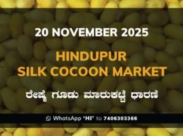 Hindupur Government Silk Cocoon Market Daily Rate Report ಹಿಂದೂಪುರ ರೇಷ್ಮೆ ಗೂಡು ಮಾರುಕಟ್ಟೆ ಧಾರಣೆ