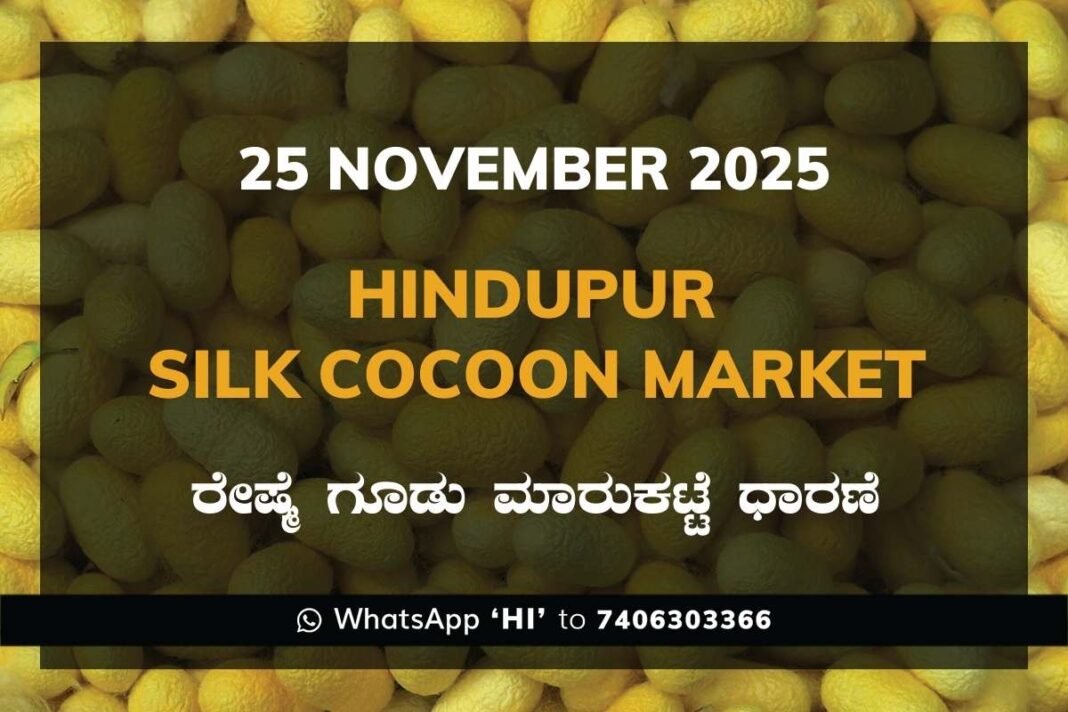 Hindupur Government Silk Cocoon Market Daily Rate Report ಹಿಂದೂಪುರ ರೇಷ್ಮೆ ಗೂಡು ಮಾರುಕಟ್ಟೆ ಧಾರಣೆ