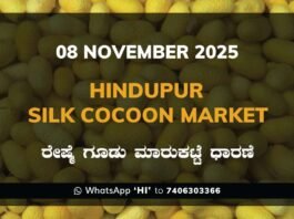 Hindupur Government Silk Cocoon Market Daily Rate Report ಹಿಂದೂಪುರ ರೇಷ್ಮೆ ಗೂಡು ಮಾರುಕಟ್ಟೆ ಧಾರಣೆ