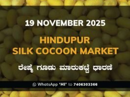 Hindupur Government Silk Cocoon Market Daily Rate Report ಹಿಂದೂಪುರ ರೇಷ್ಮೆ ಗೂಡು ಮಾರುಕಟ್ಟೆ ಧಾರಣೆ
