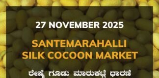 Santemarahalli Silk Cocoon Market: 27 November 2025 Santemarahalli (SM Halli) Government Silk Cocoon Market Daily Rate Report ಸಂತೇಮರಹಳ್ಳಿ ರೇಷ್ಮೆ ಗೂಡು ಮಾರುಕಟ್ಟೆ ಧಾರಣೆ