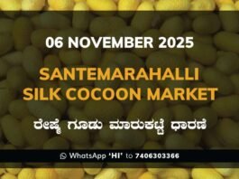Santemarahalli (SM Halli) Government Silk Cocoon Market Daily Rate Report ಸಂತೇಮರಹಳ್ಳಿ ರೇಷ್ಮೆ ಗೂಡು ಮಾರುಕಟ್ಟೆ ಧಾರಣೆ