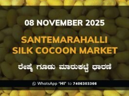 Santemarahalli (SM Halli) Government Silk Cocoon Market Daily Rate Report ಸಂತೇಮರಹಳ್ಳಿ ರೇಷ್ಮೆ ಗೂಡು ಮಾರುಕಟ್ಟೆ ಧಾರಣೆ