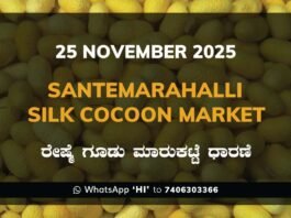 Santemarahalli (SM Halli) Government Silk Cocoon Market Daily Rate Report ಸಂತೇಮರಹಳ್ಳಿ ರೇಷ್ಮೆ ಗೂಡು ಮಾರುಕಟ್ಟೆ ಧಾರಣೆ