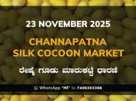 Channapatna Silk Cocoon Market Price Rate ಚನ್ನಪಟ್ಟಣ ರೇಷ್ಮೆ ಗೂಡು ಮಾರುಕಟ್ಟೆ ಧಾರಣೆ